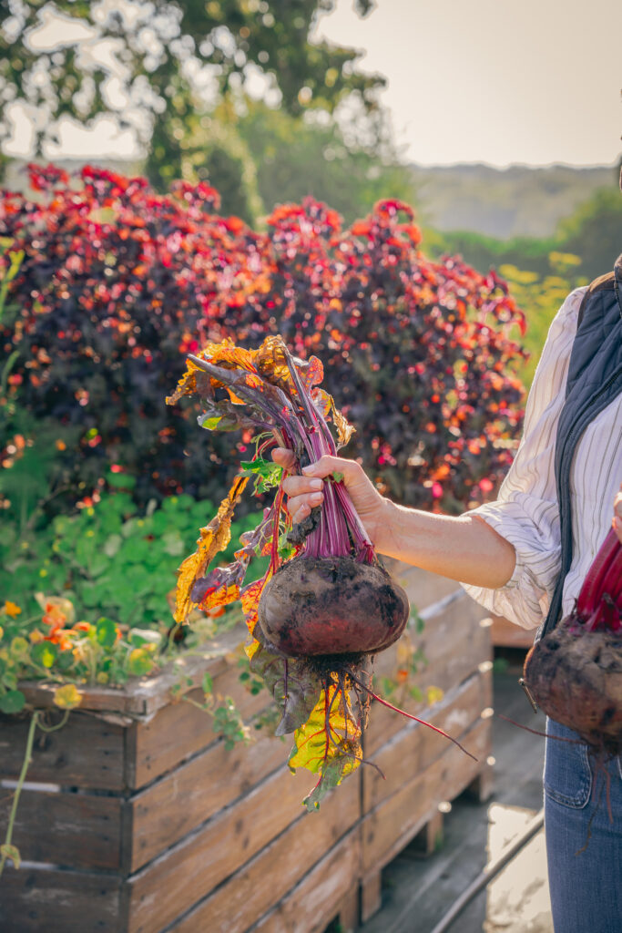 démarche RSE potager du grand chemin