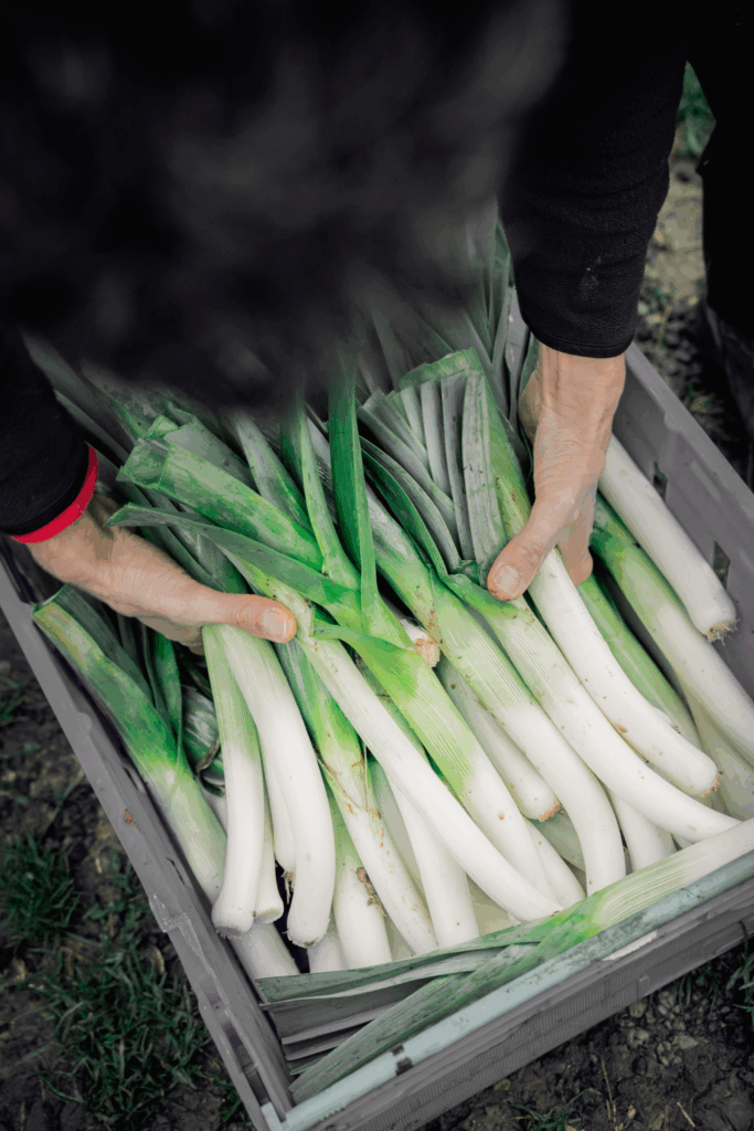 nos partenaires locaux GC - Le Potager nos partenaires locaux