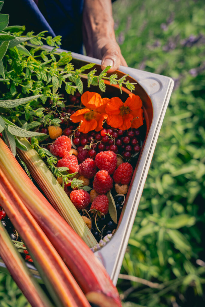 producteur légume grand chemin traiteur
